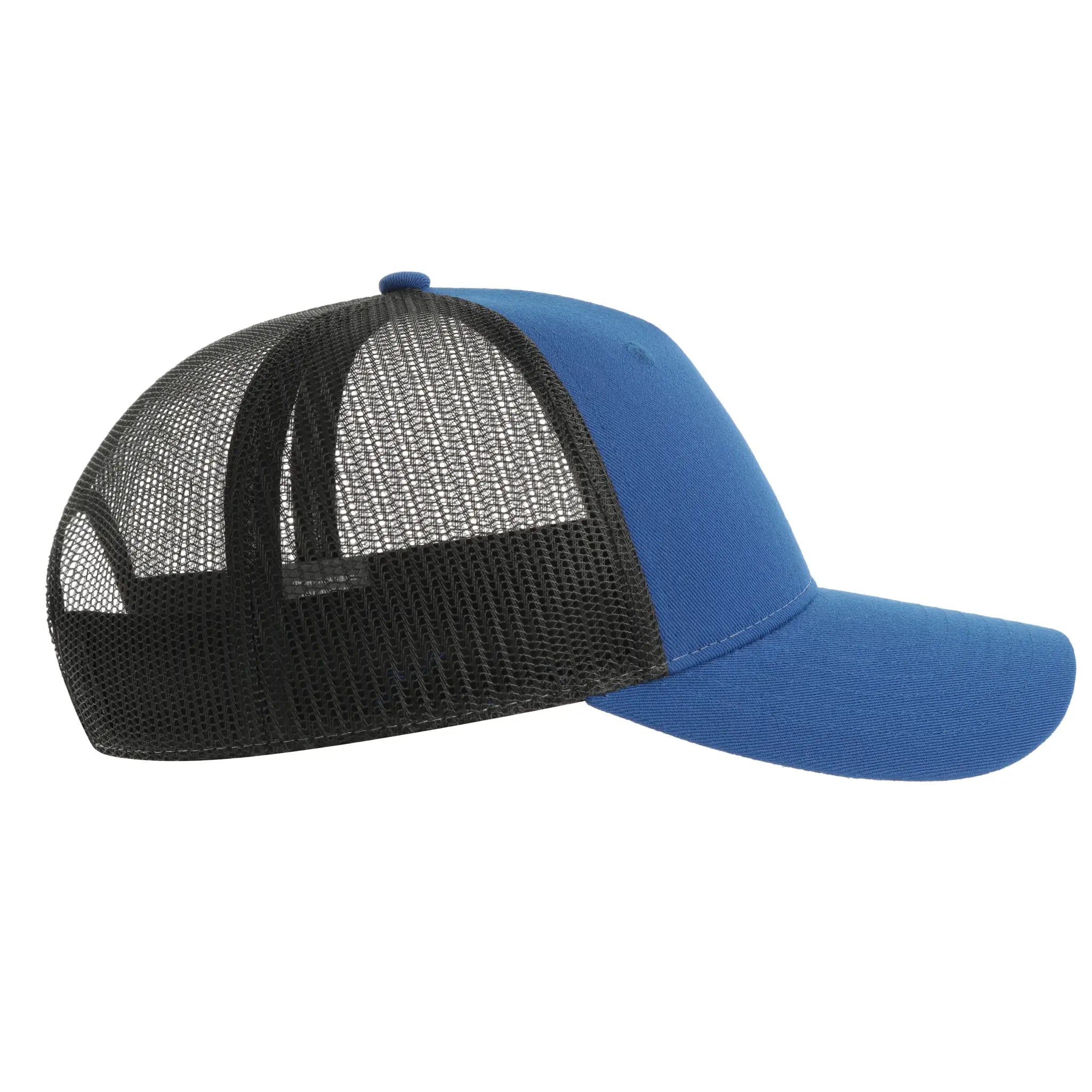 all-groups Zion Cap