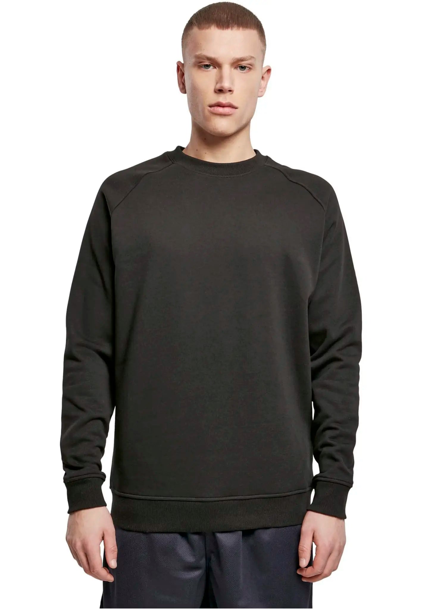 all-groups Men's Raglan Sweatshirt Crewneck