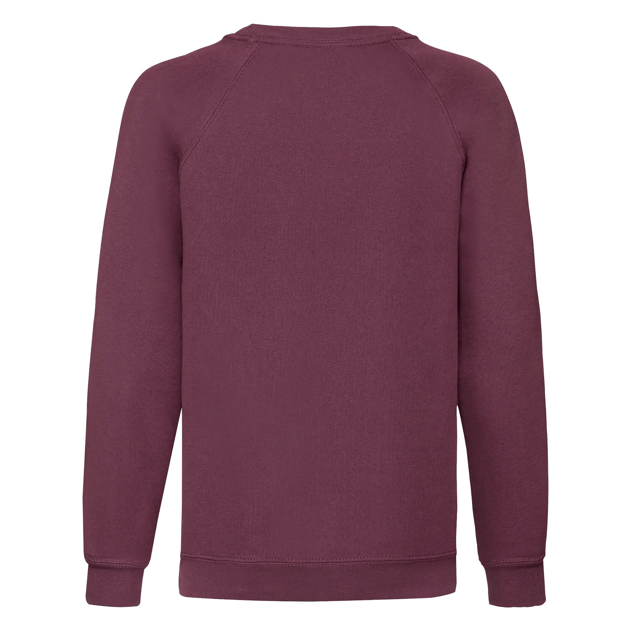 all-groups Kids' Classic Raglan Sweat