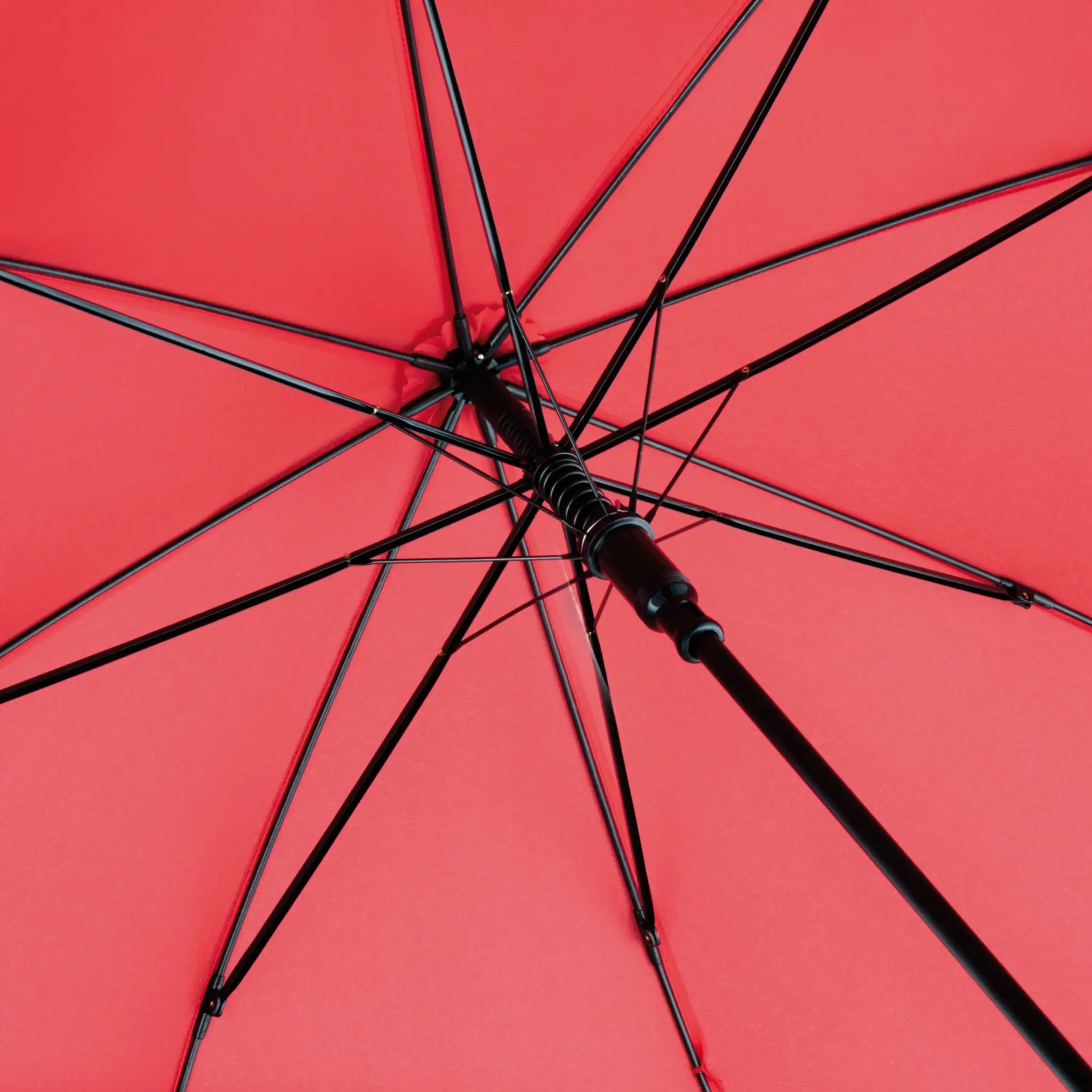 all-groups AC Regular Umbrella