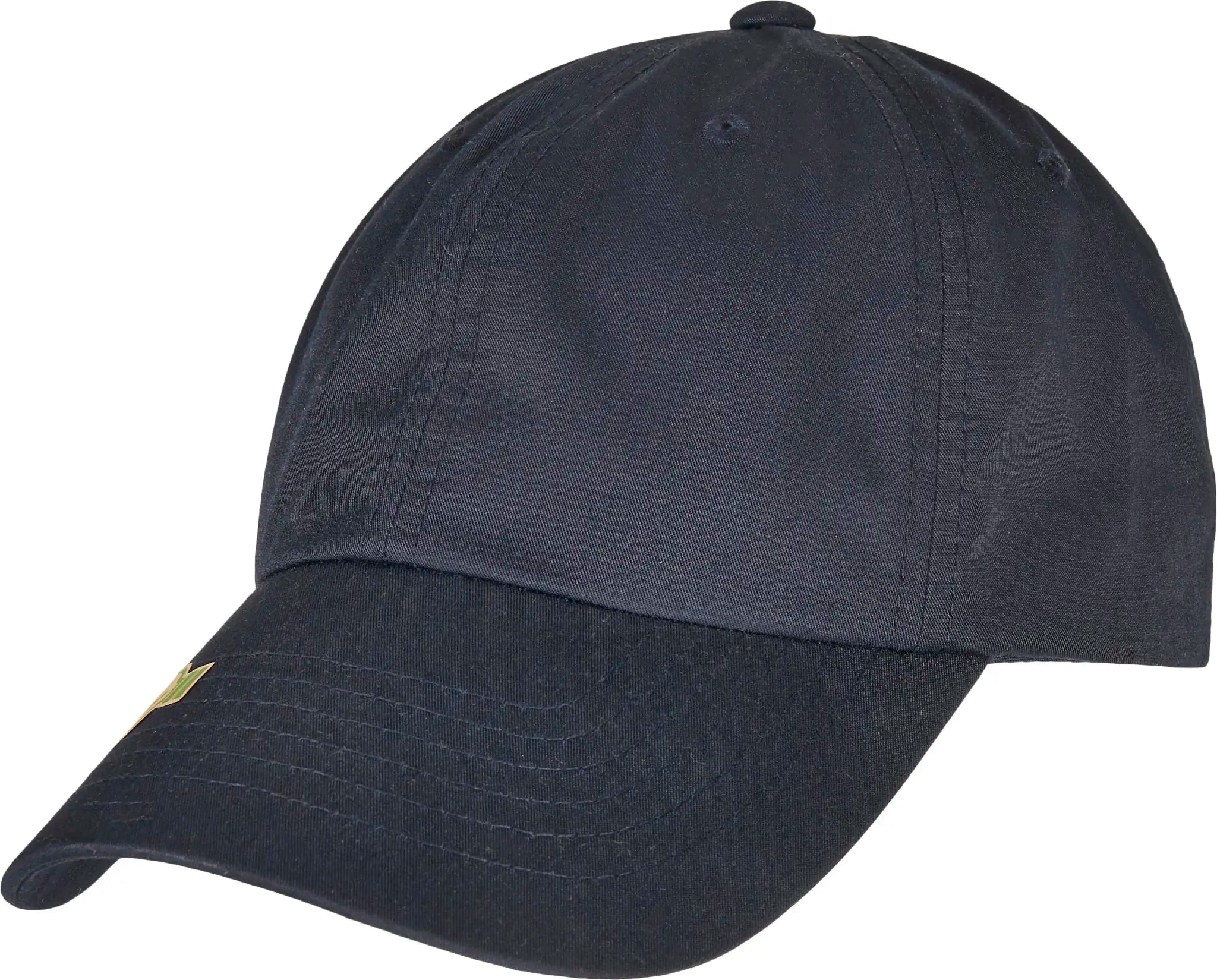 all-groups Recycled Polyester Dad Cap