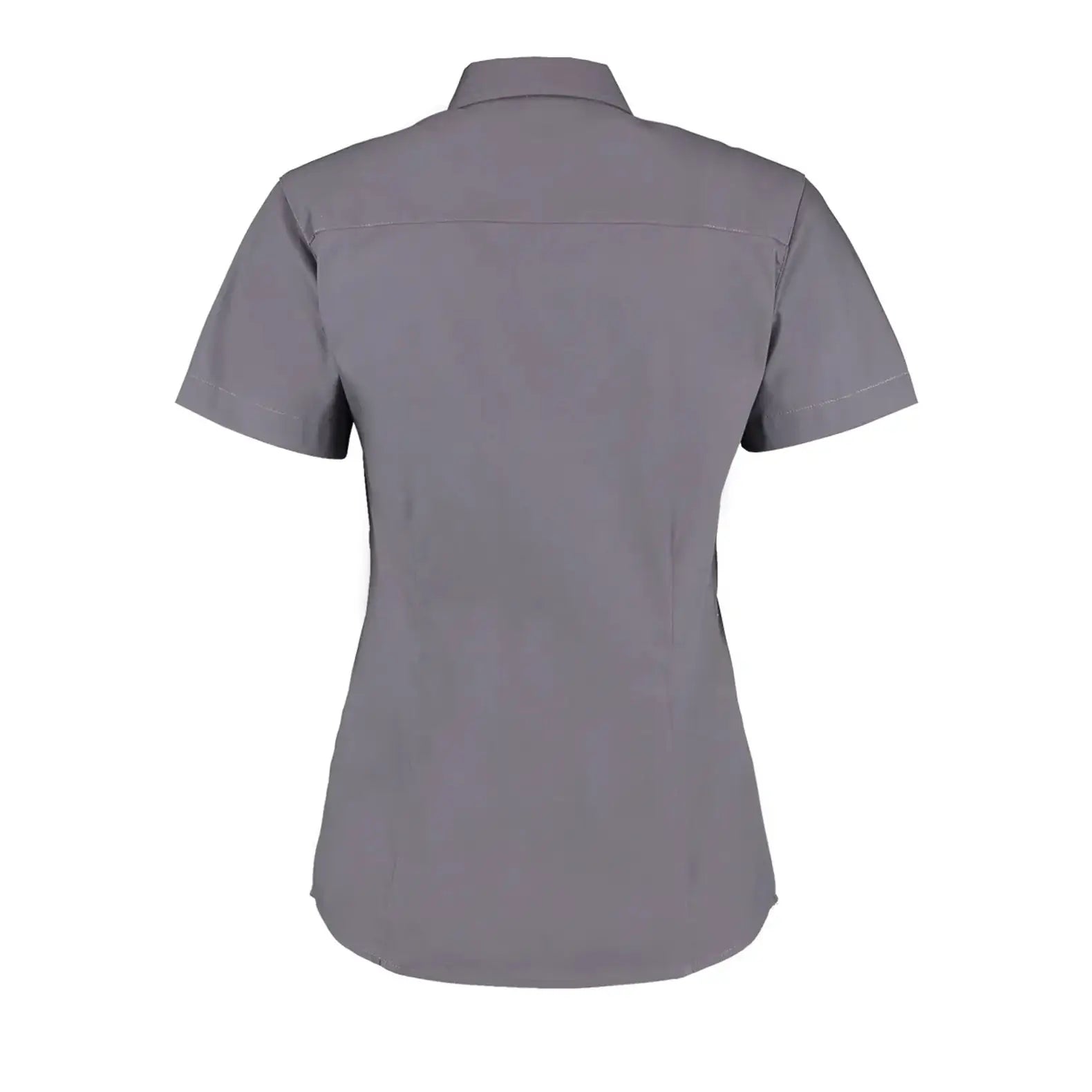 all-groups Women's Tailored Fit Corporate Oxford Shirt Short Sleeve