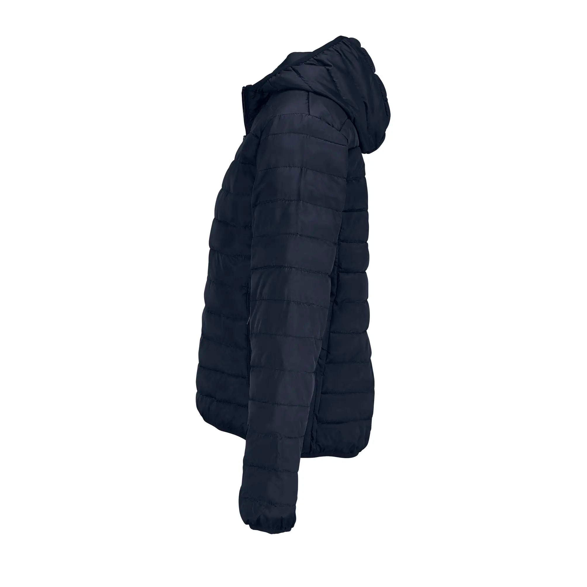 all-groups Women's Stream Lightweight Hooded Padded Jacket