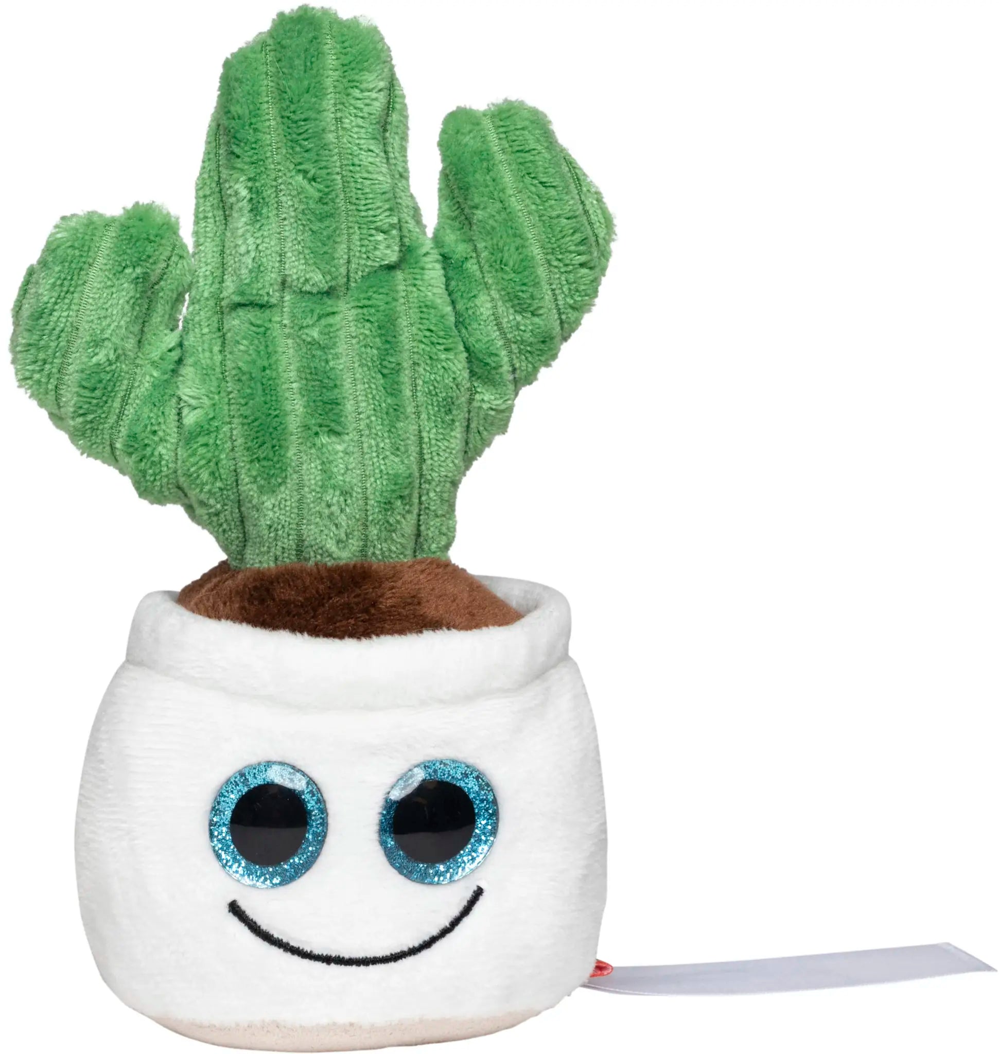 all-groups Schmoozies Evergreenies Cactus