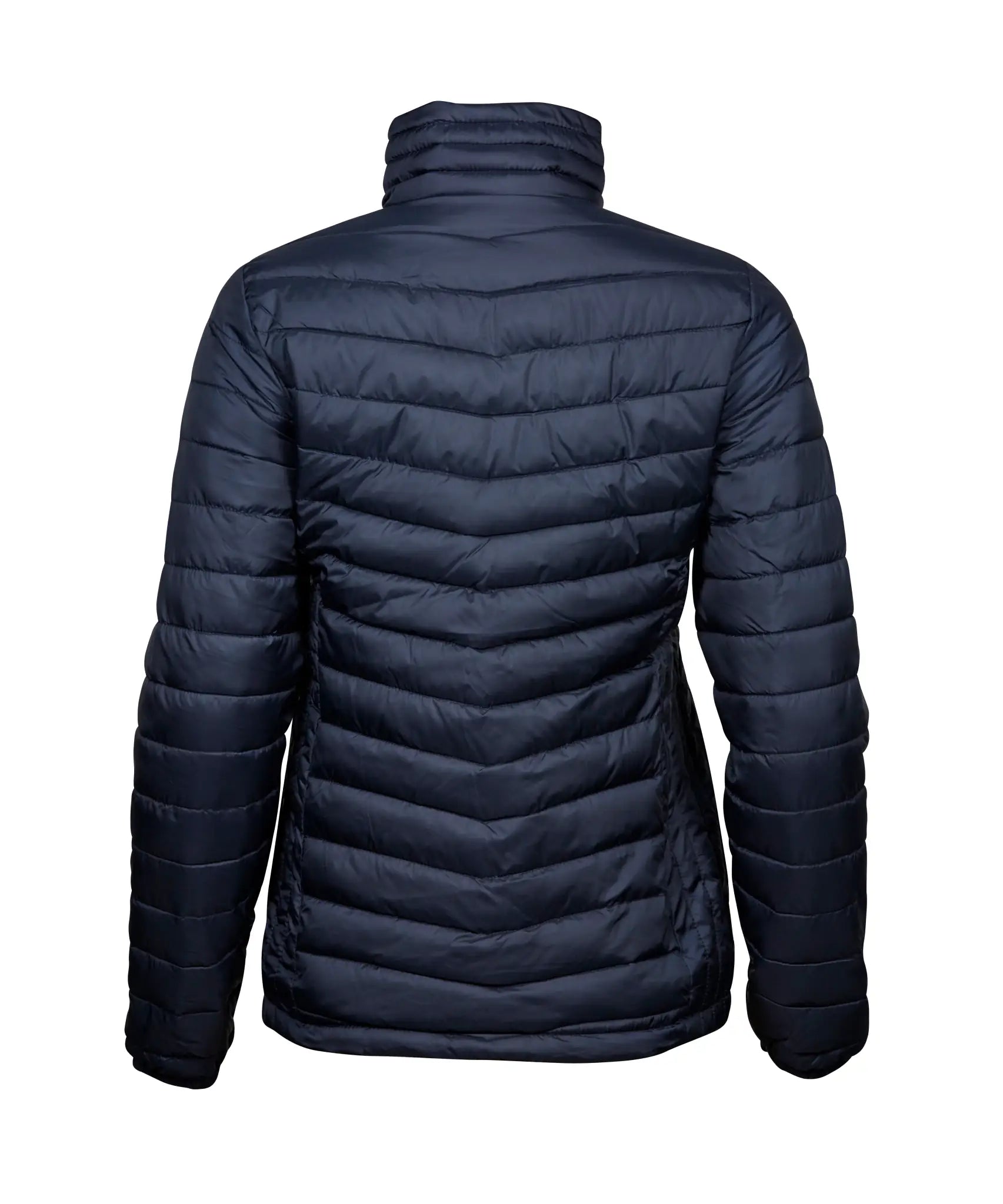 all-groups Women's Zepelin Jacket