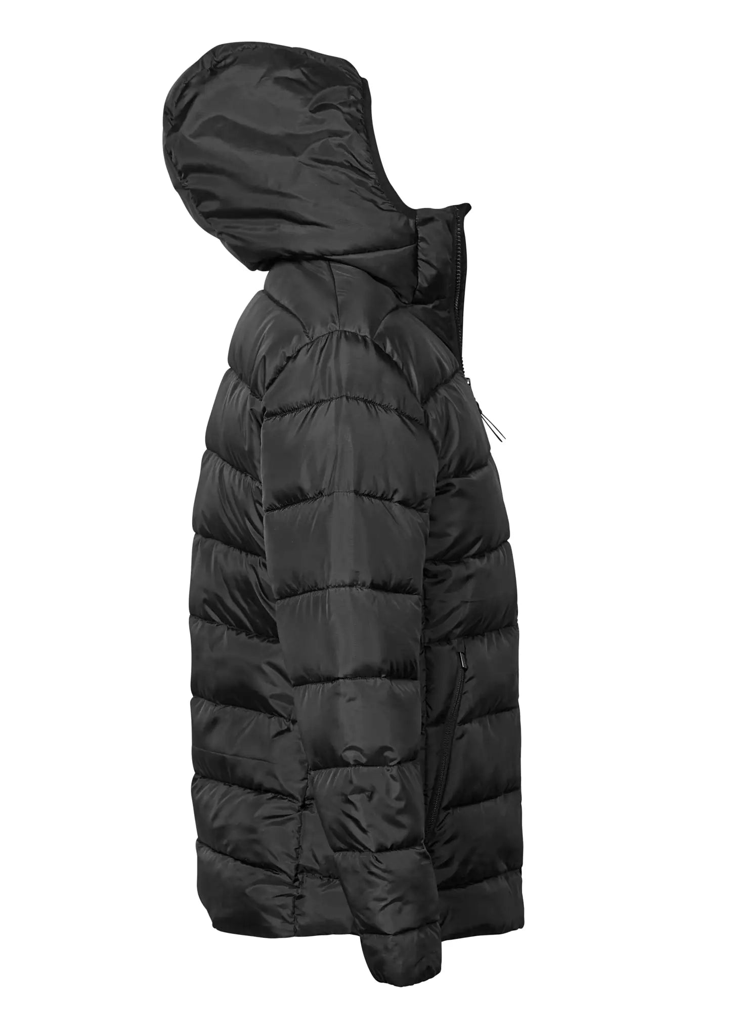 all-groups Women's Lite Hooded Jacket