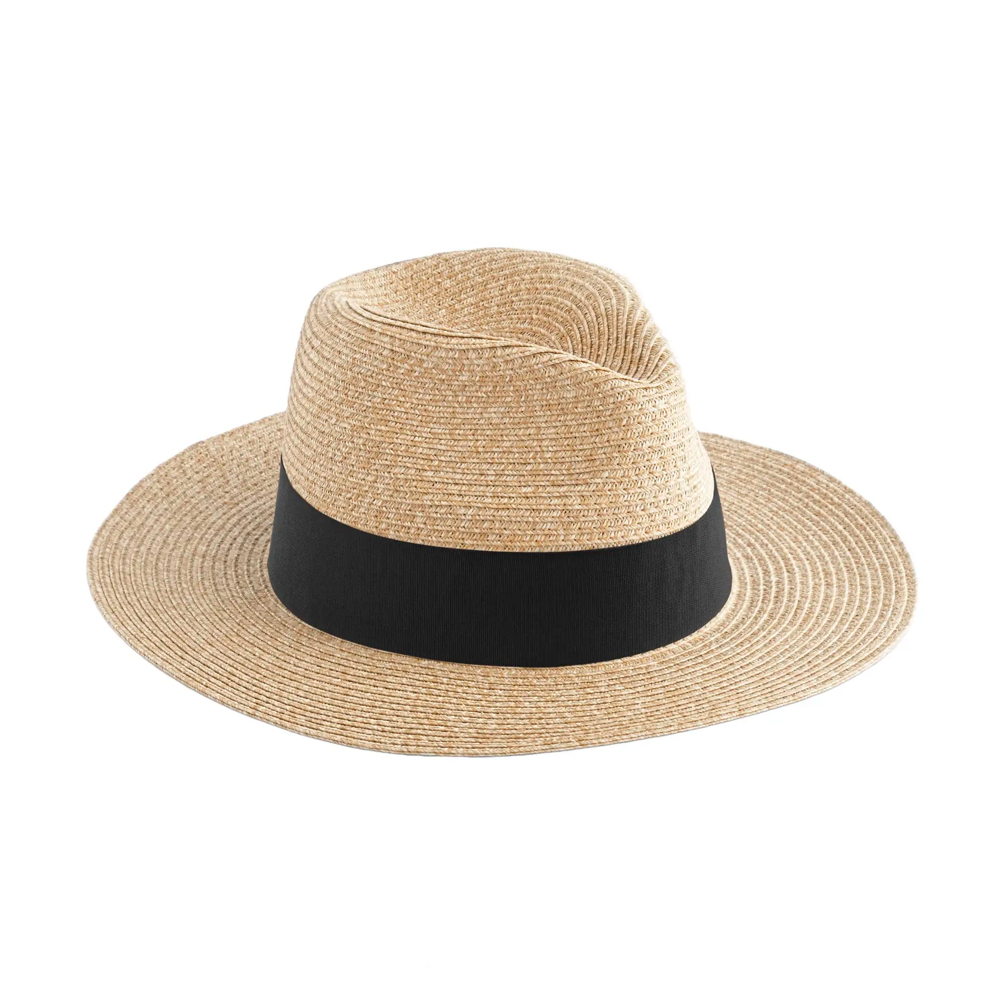 all-groups Straw Fedora