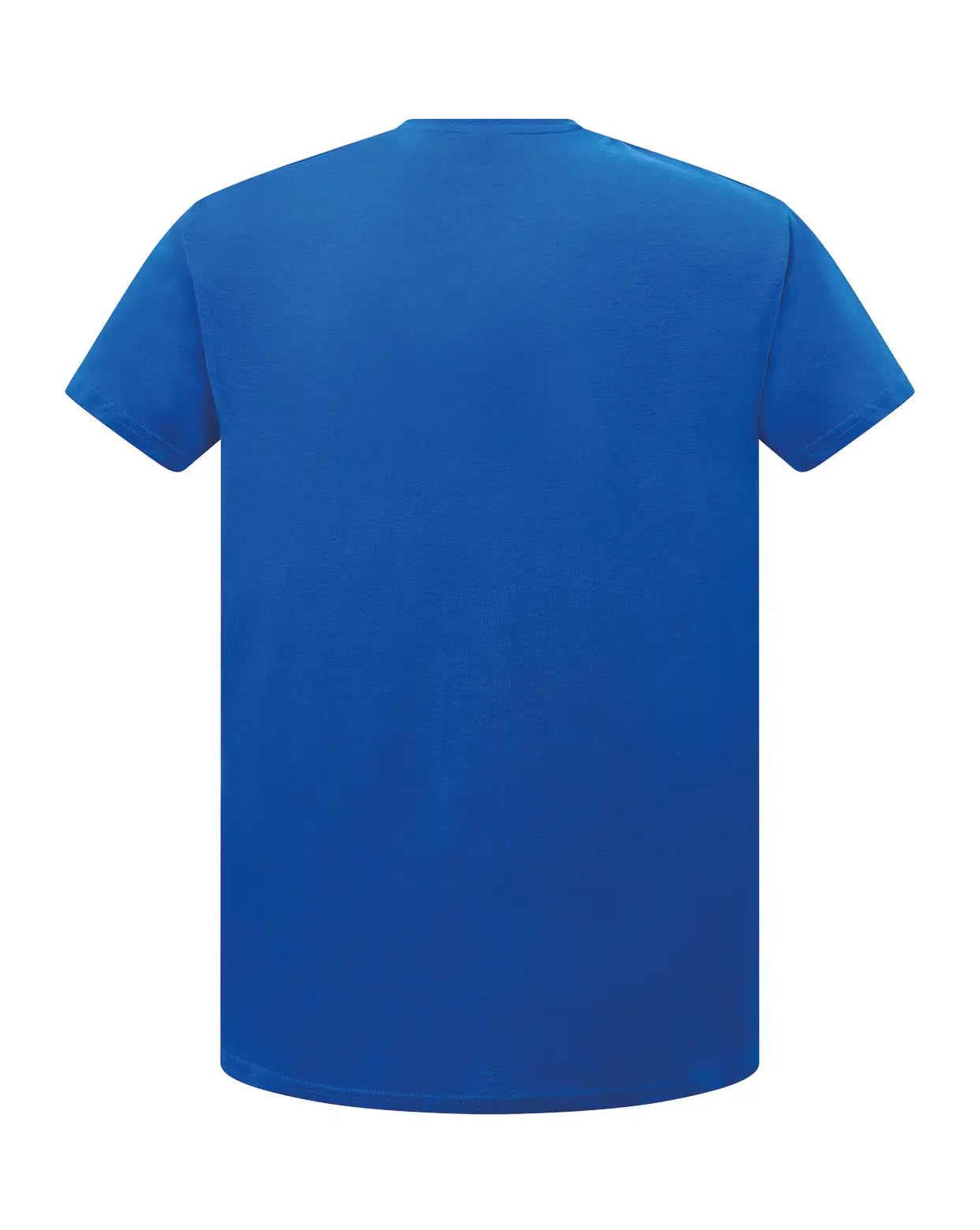 all-groups Women's Curves T-Shirt V Neck