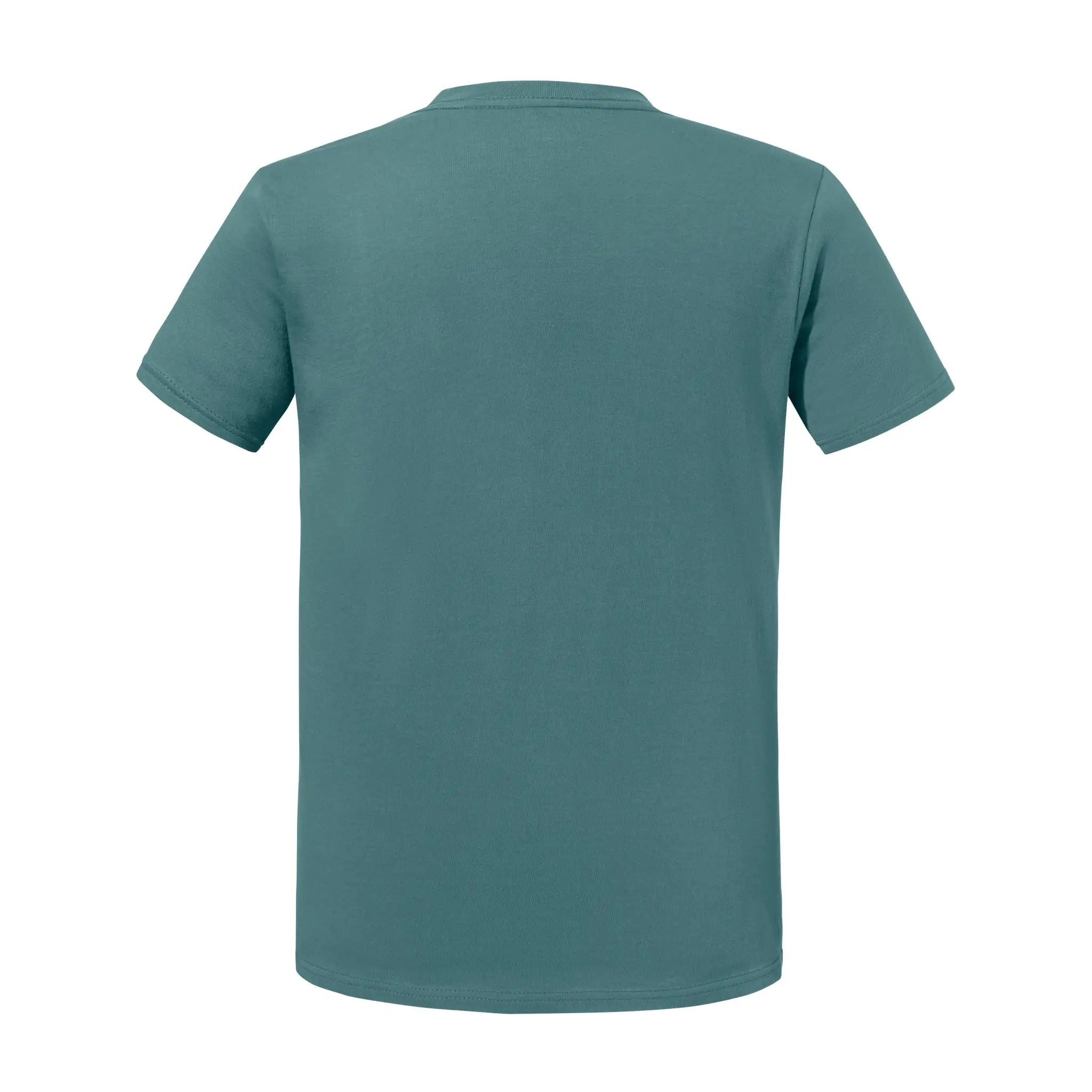 all-groups Unisex Premium Organic T