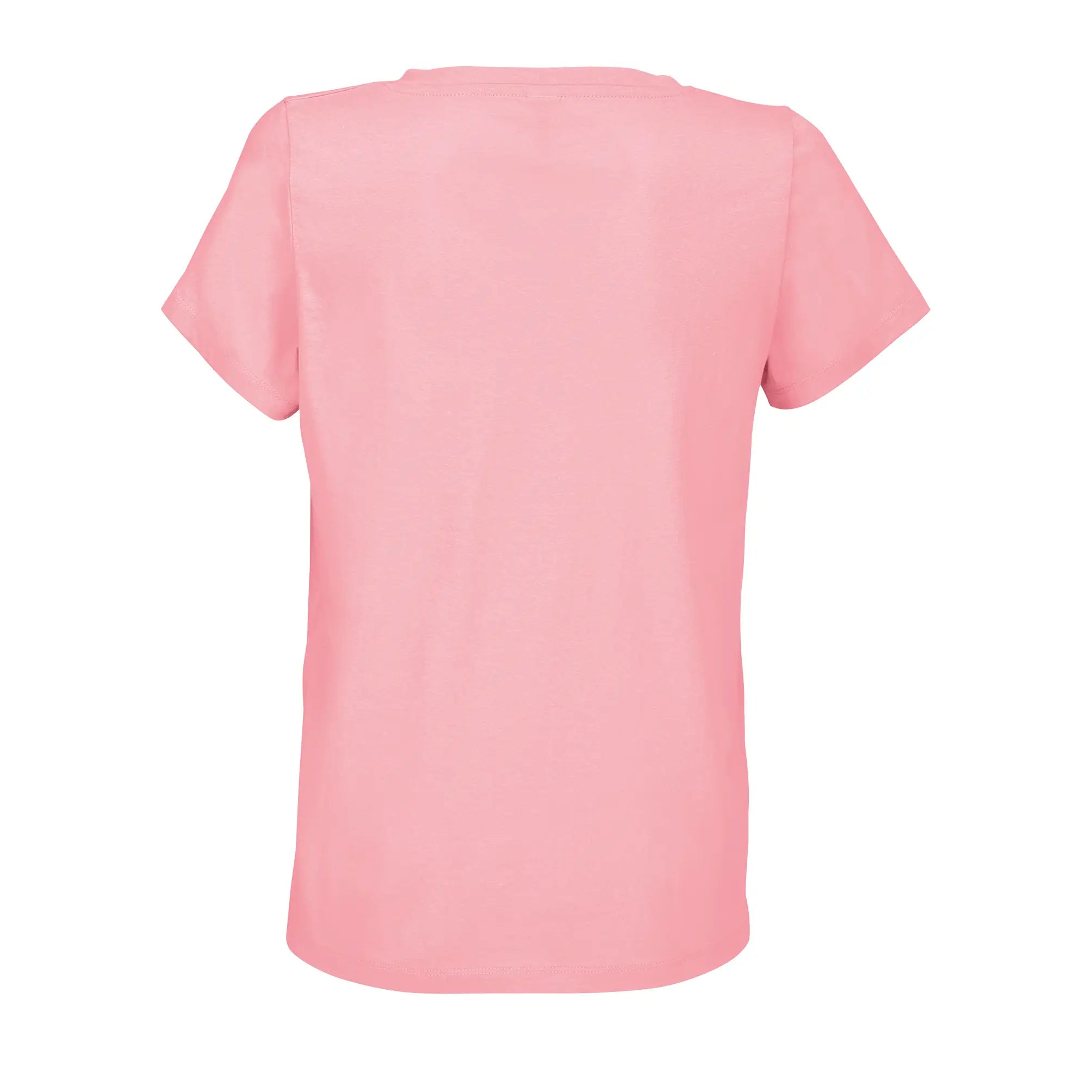 all-groups Women's V Neck T-Shirt Regent
