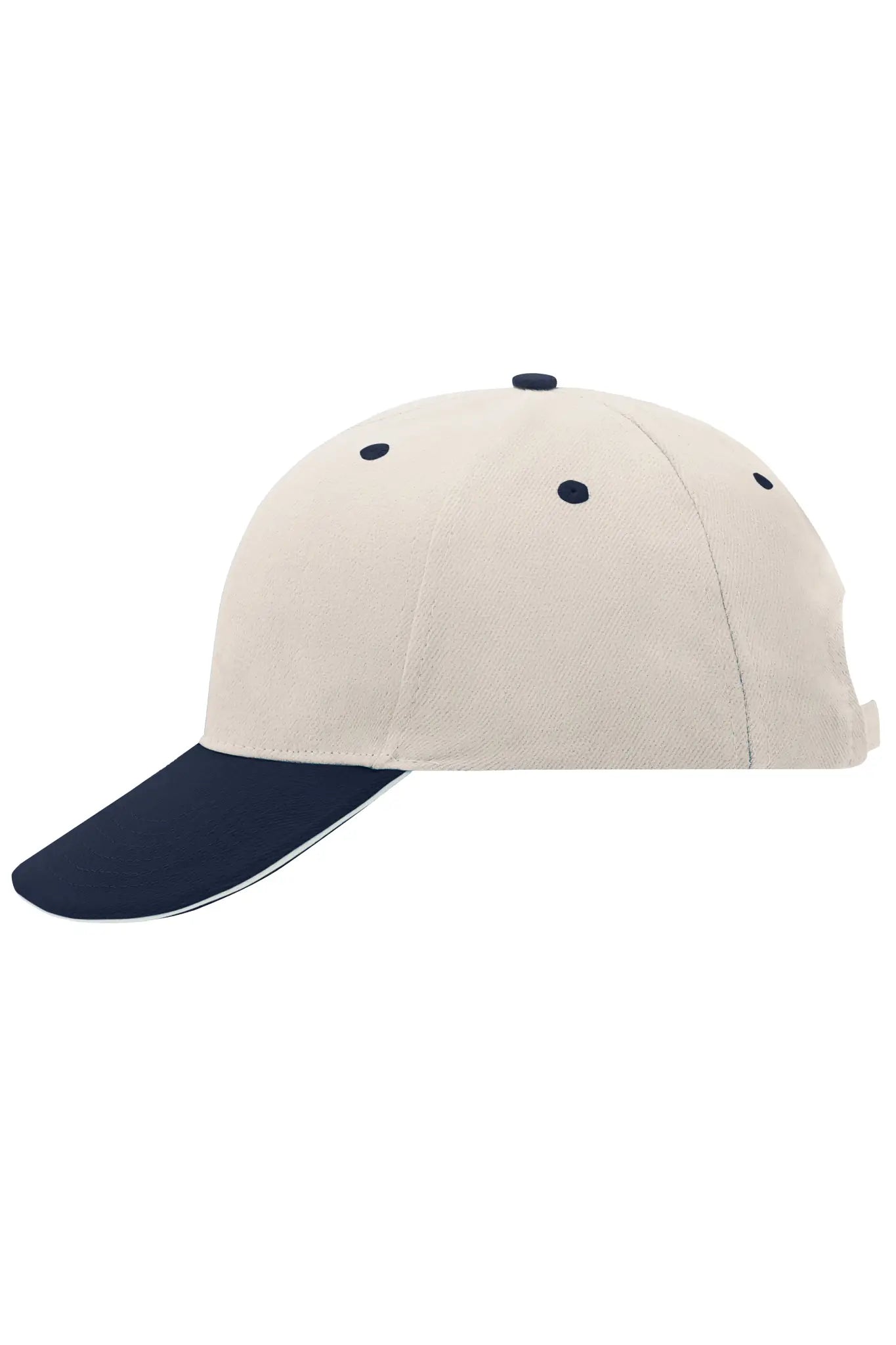 all-groups 6 Panel Sandwich Cap