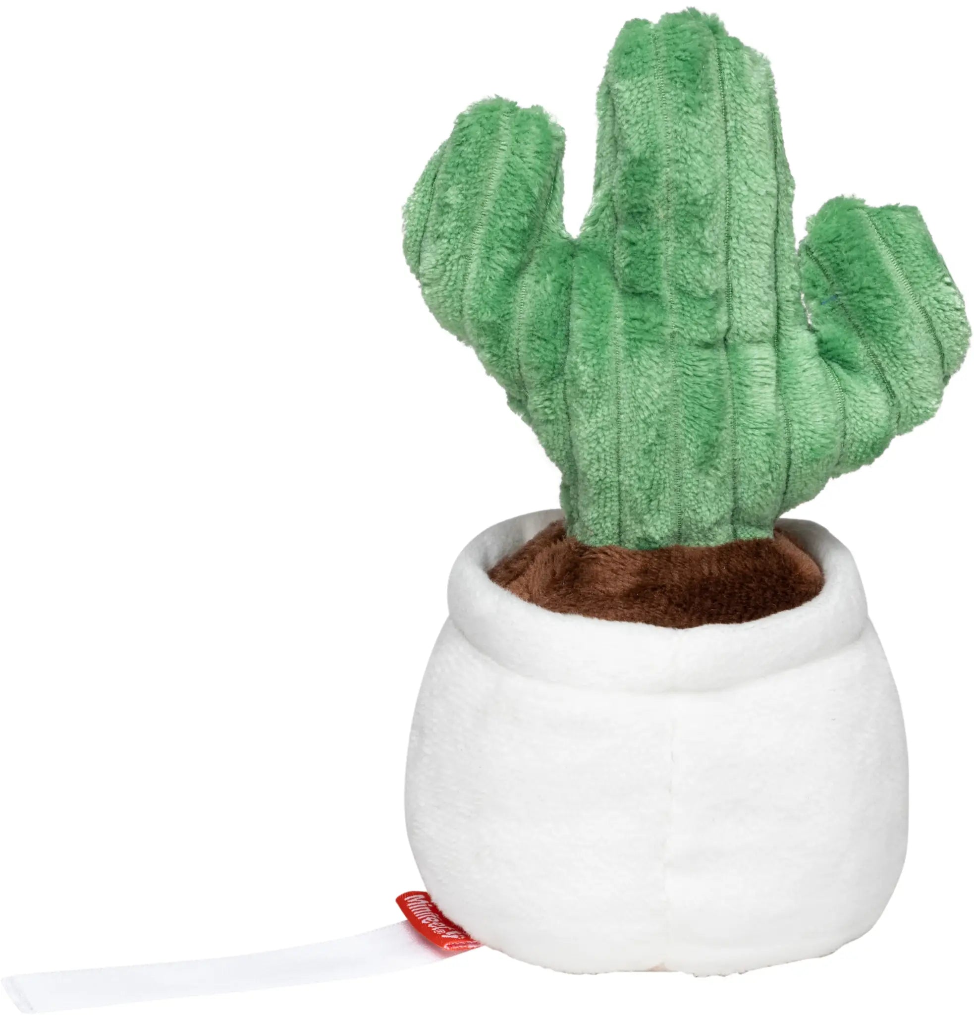 all-groups Schmoozies Evergreenies Cactus