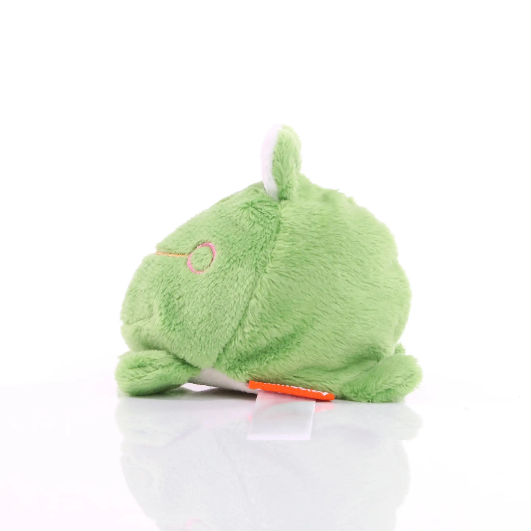 all-groups Schmoozies Frog