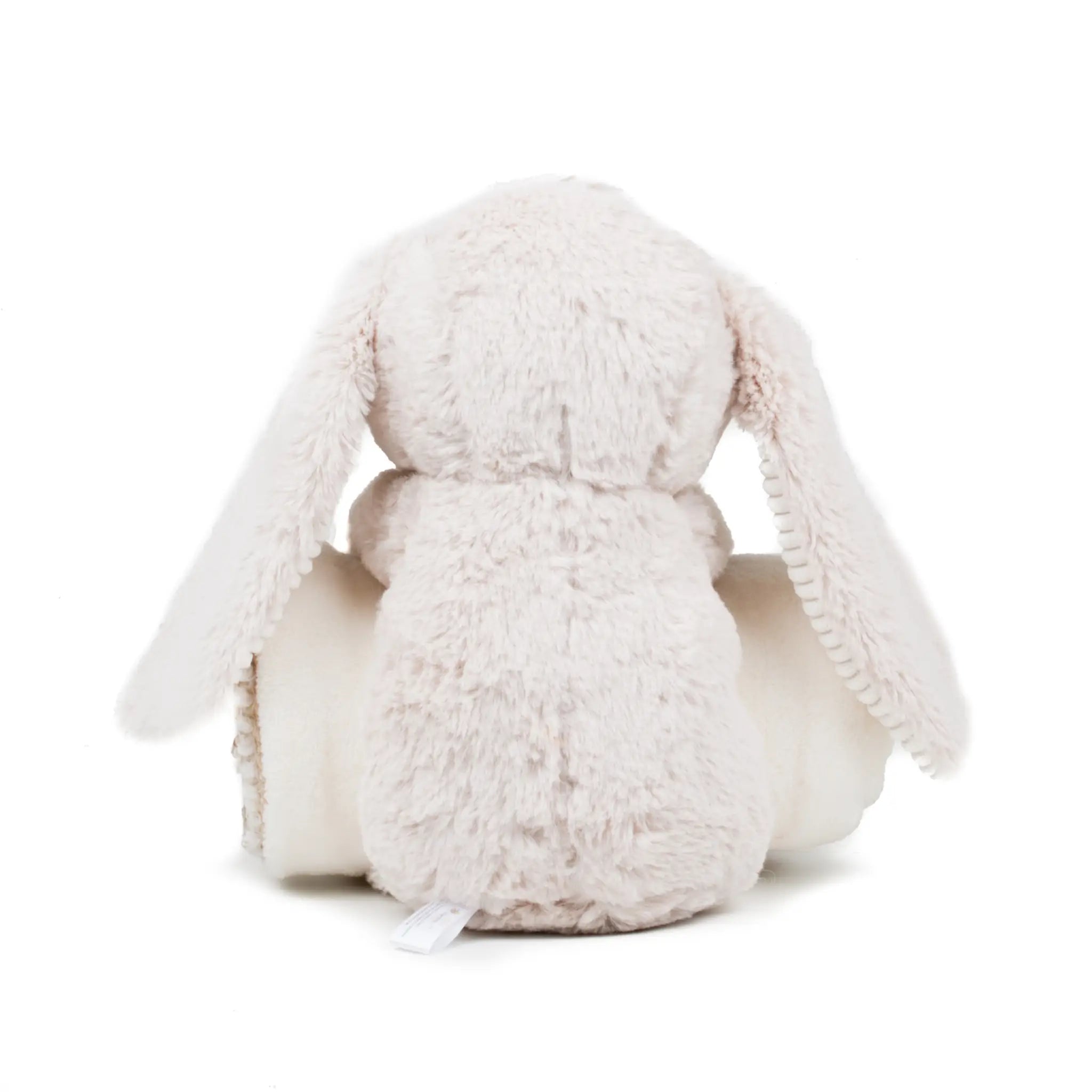 all-groups Rabbit And Blanket