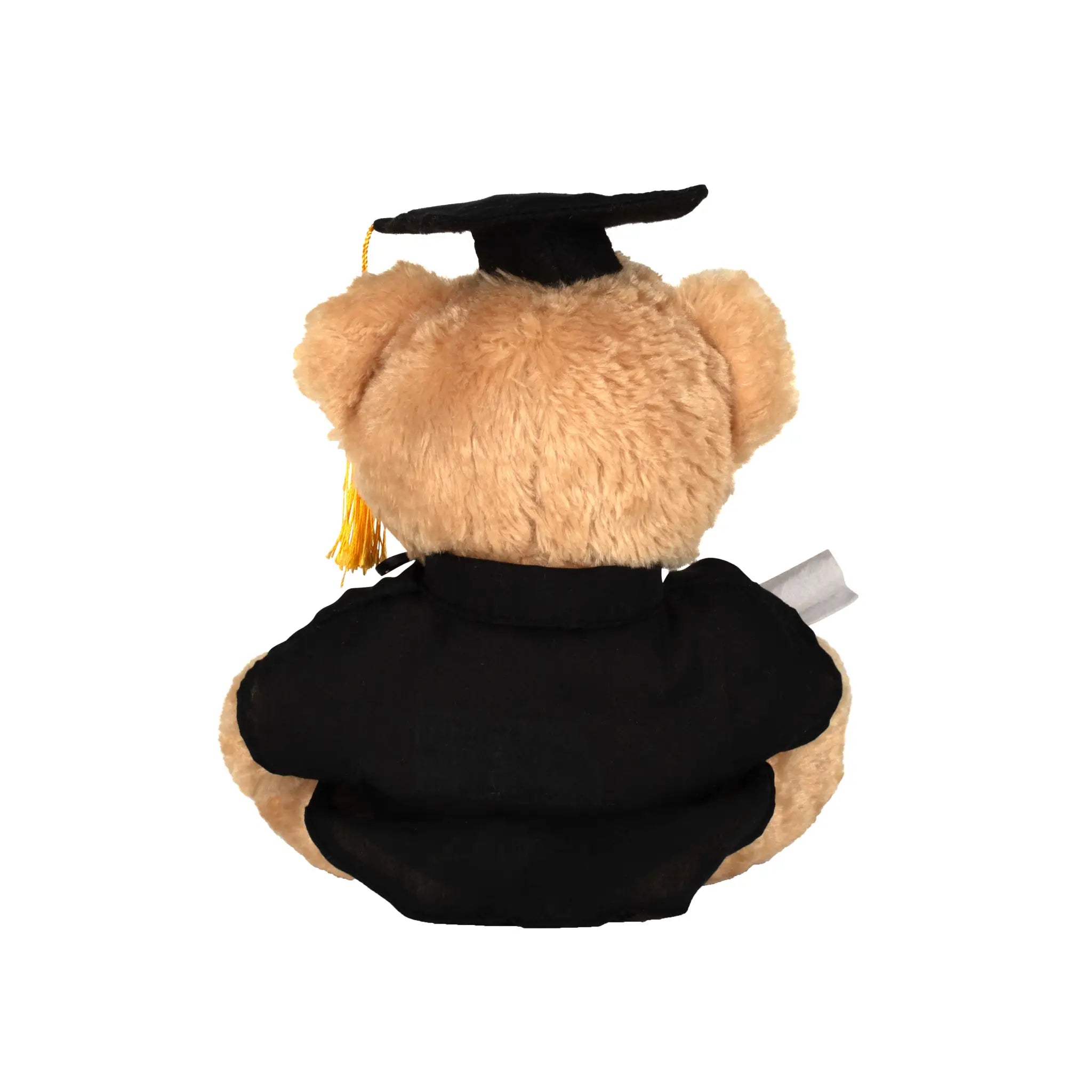 all-groups Graduation Bear