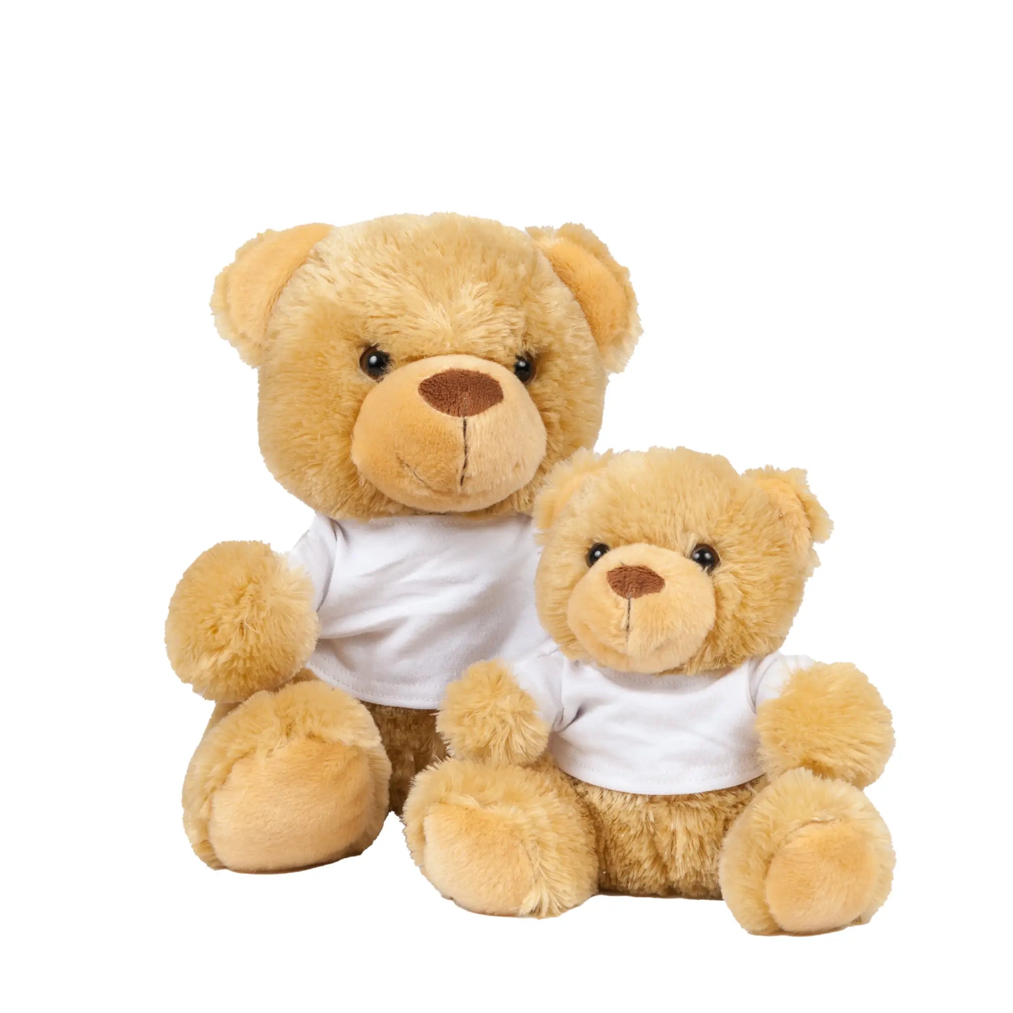all-groups Bear In T-Shirt