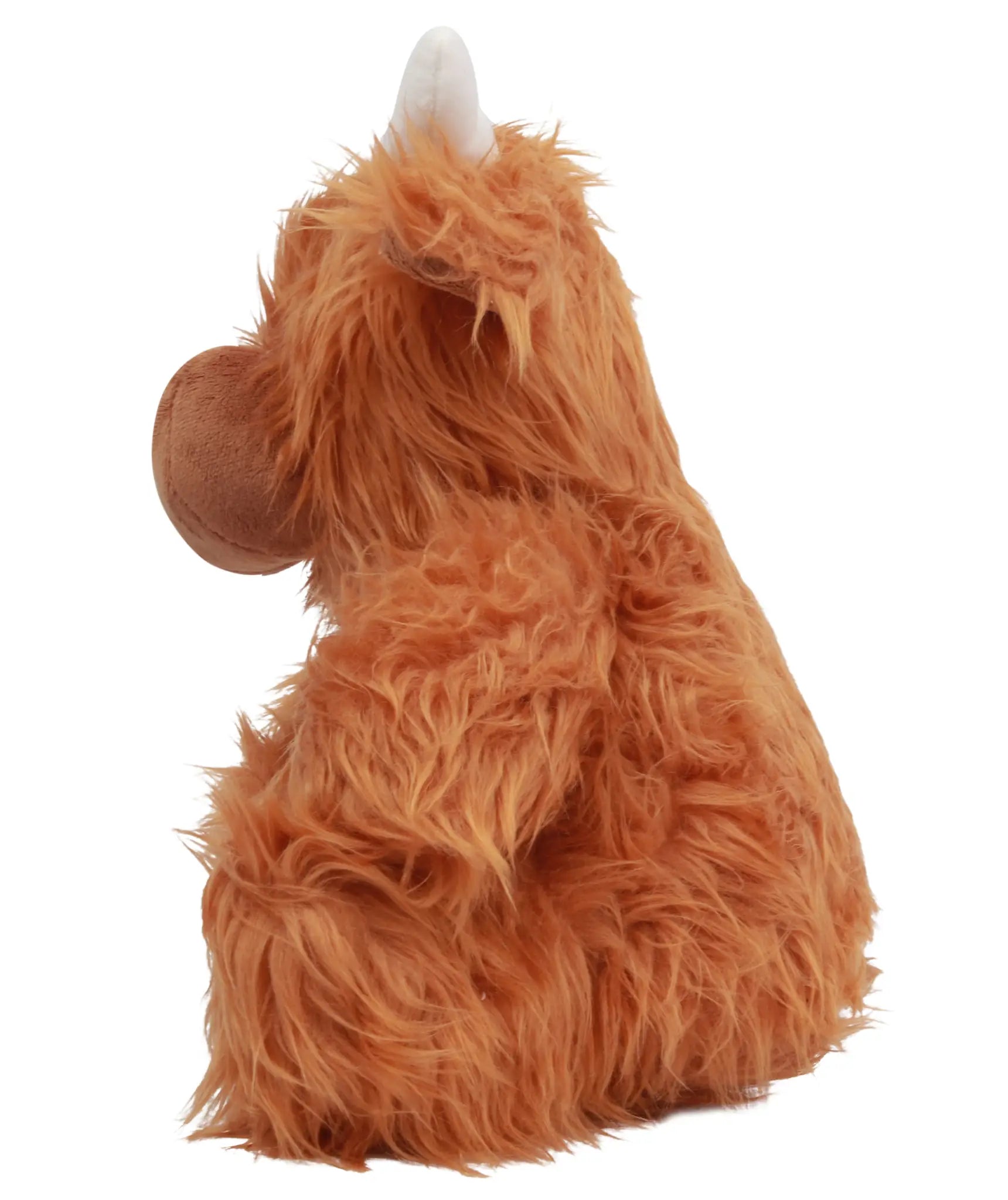 all-groups Zippie Highland Cow