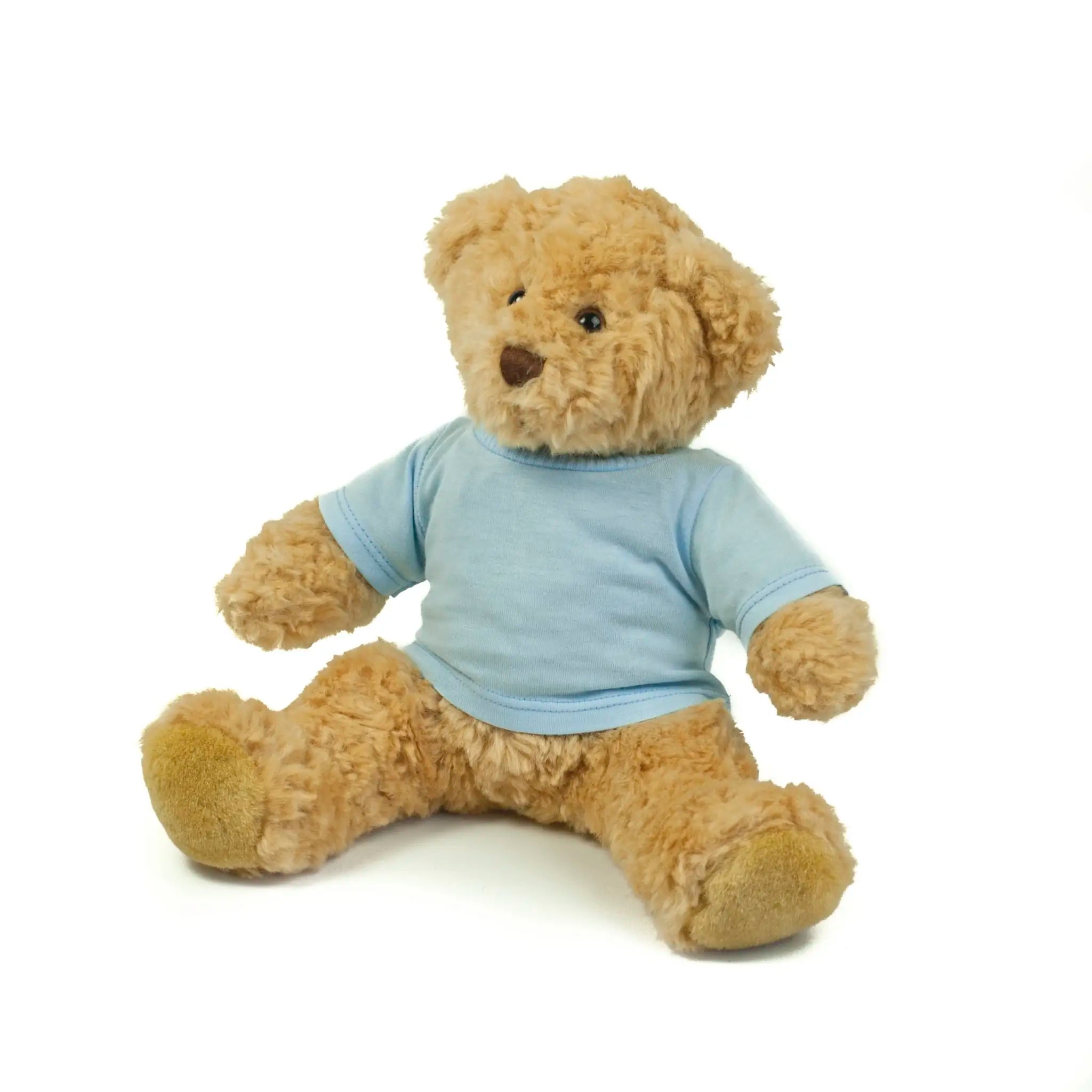 all-groups Teddy T-Shirt