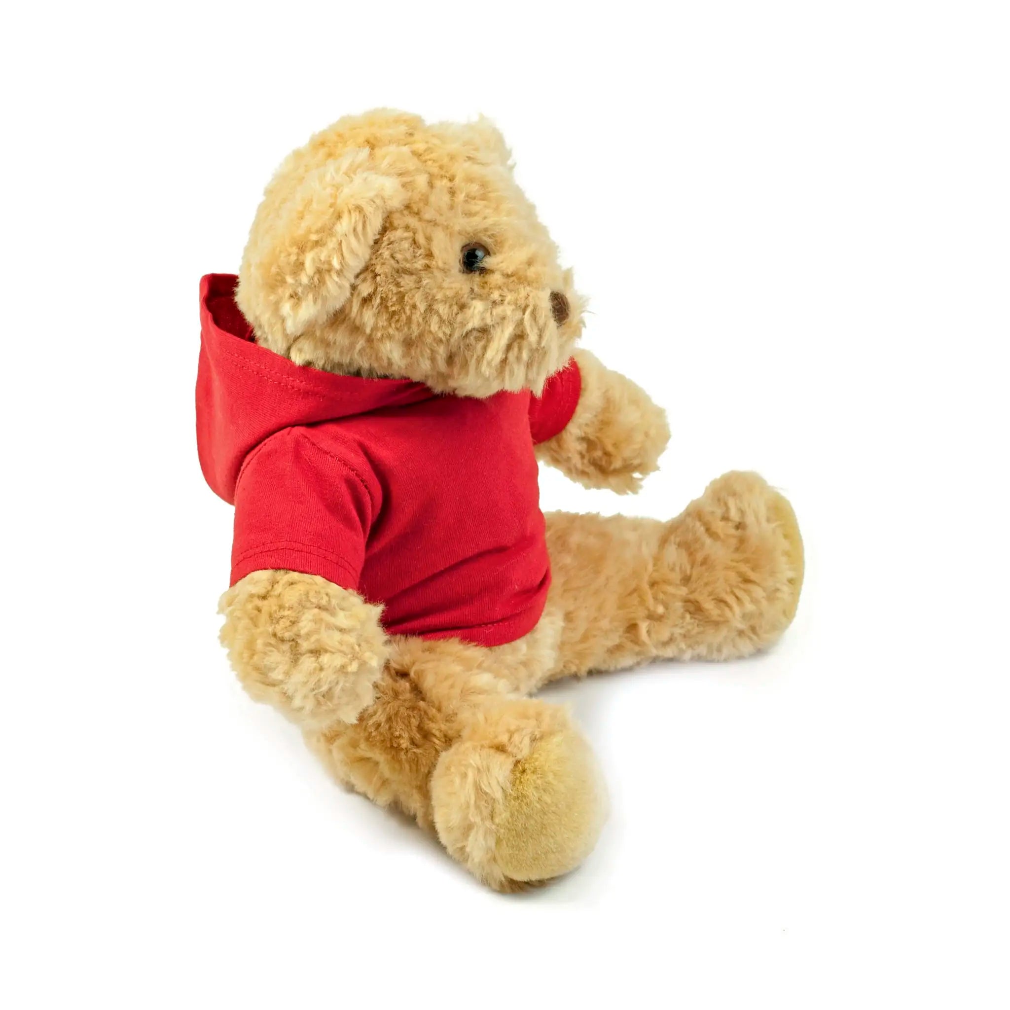 all-groups Teddy Hoodie