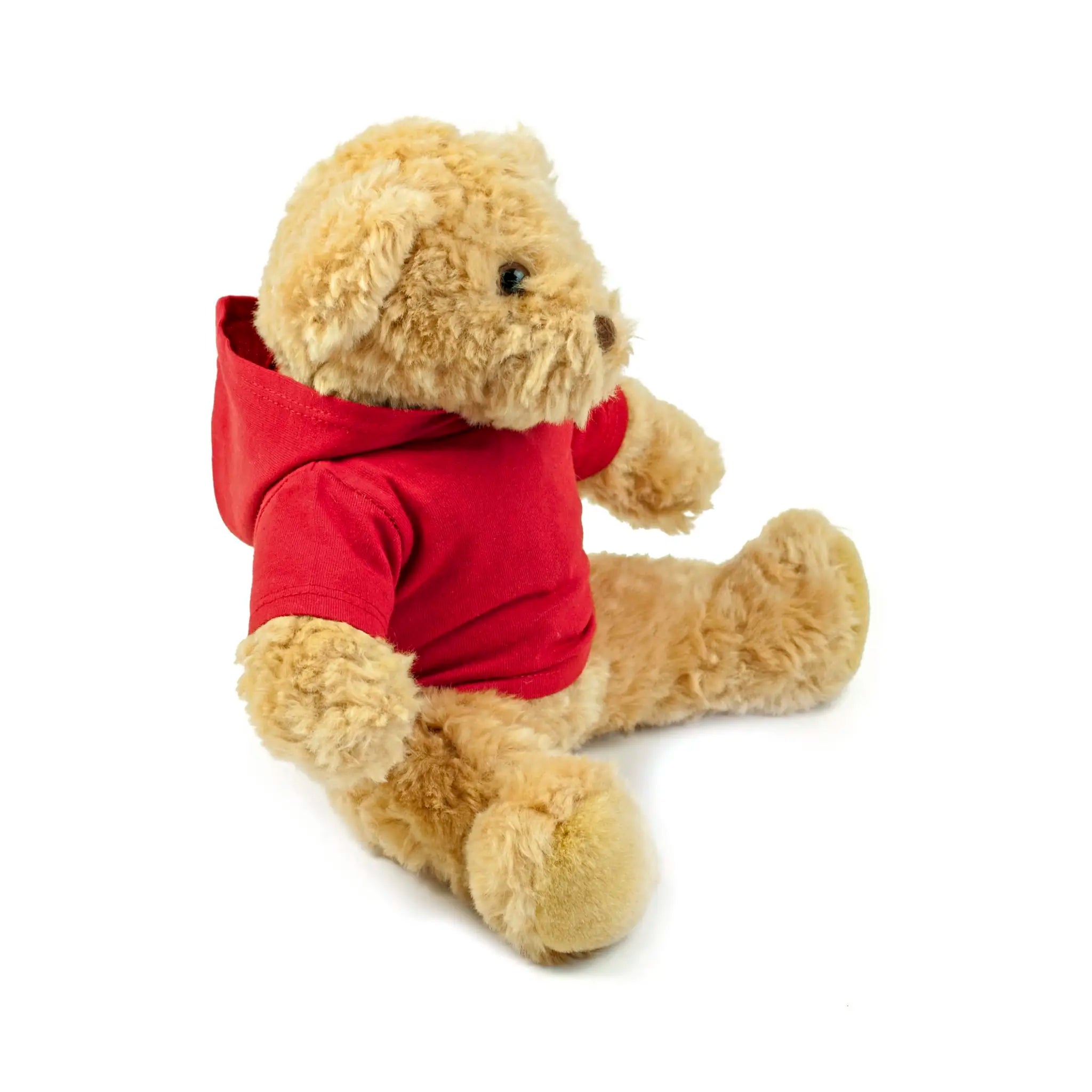 all-groups Teddy Hoodie