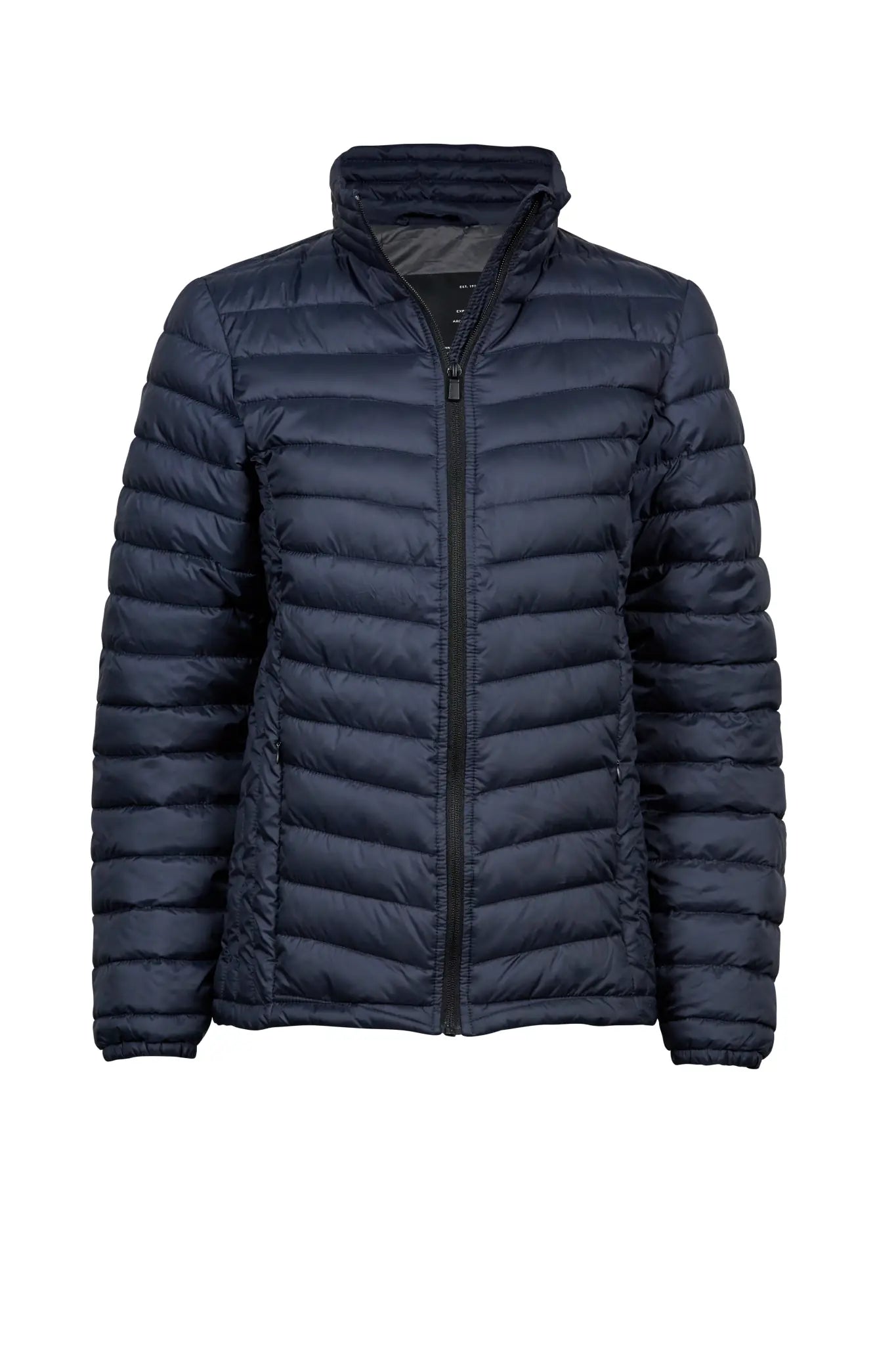 all-groups Women's Zepelin Jacket