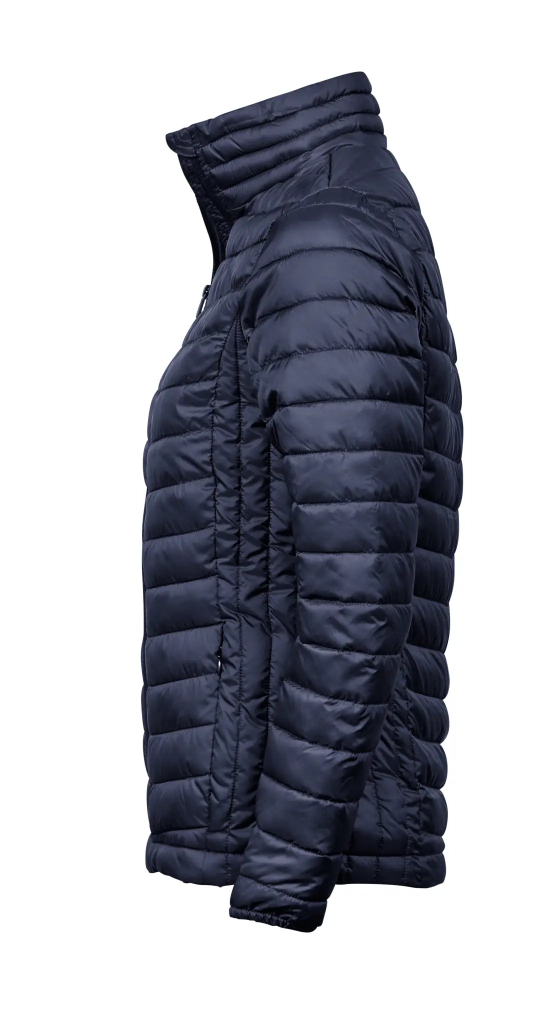 all-groups Women's Zepelin Jacket