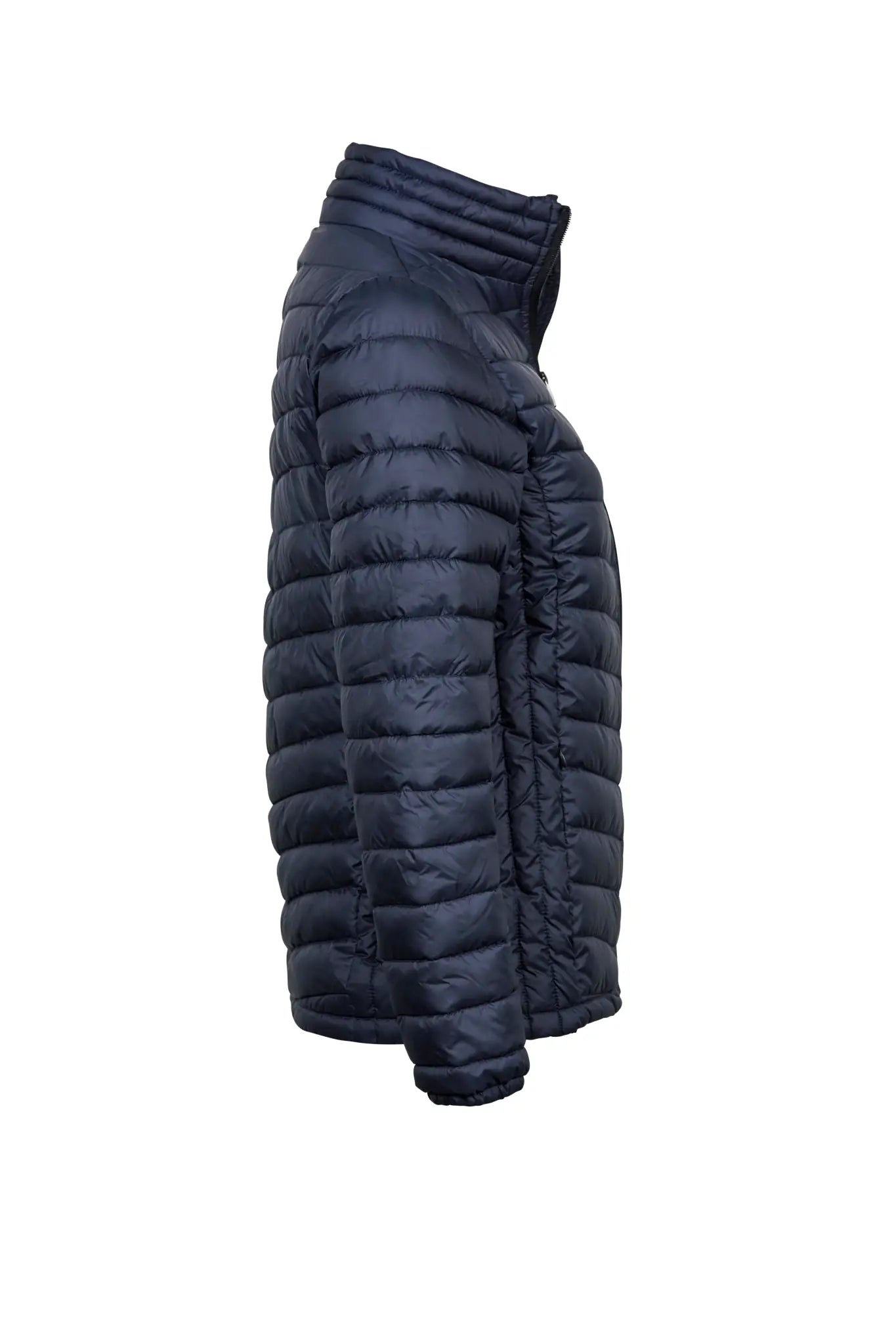 all-groups Women's Zepelin Jacket
