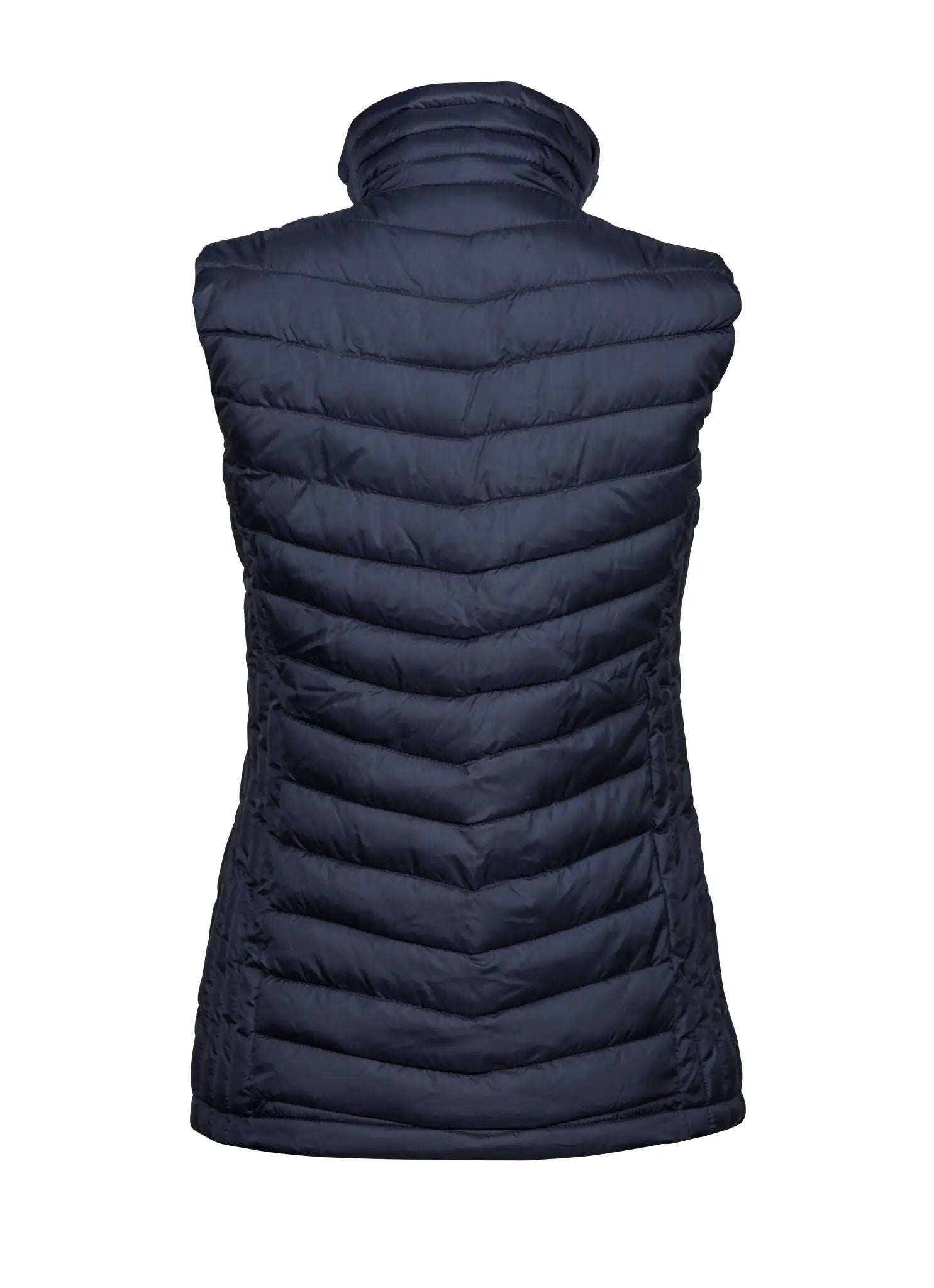 all-groups Women's Zepelin Bodywarmer