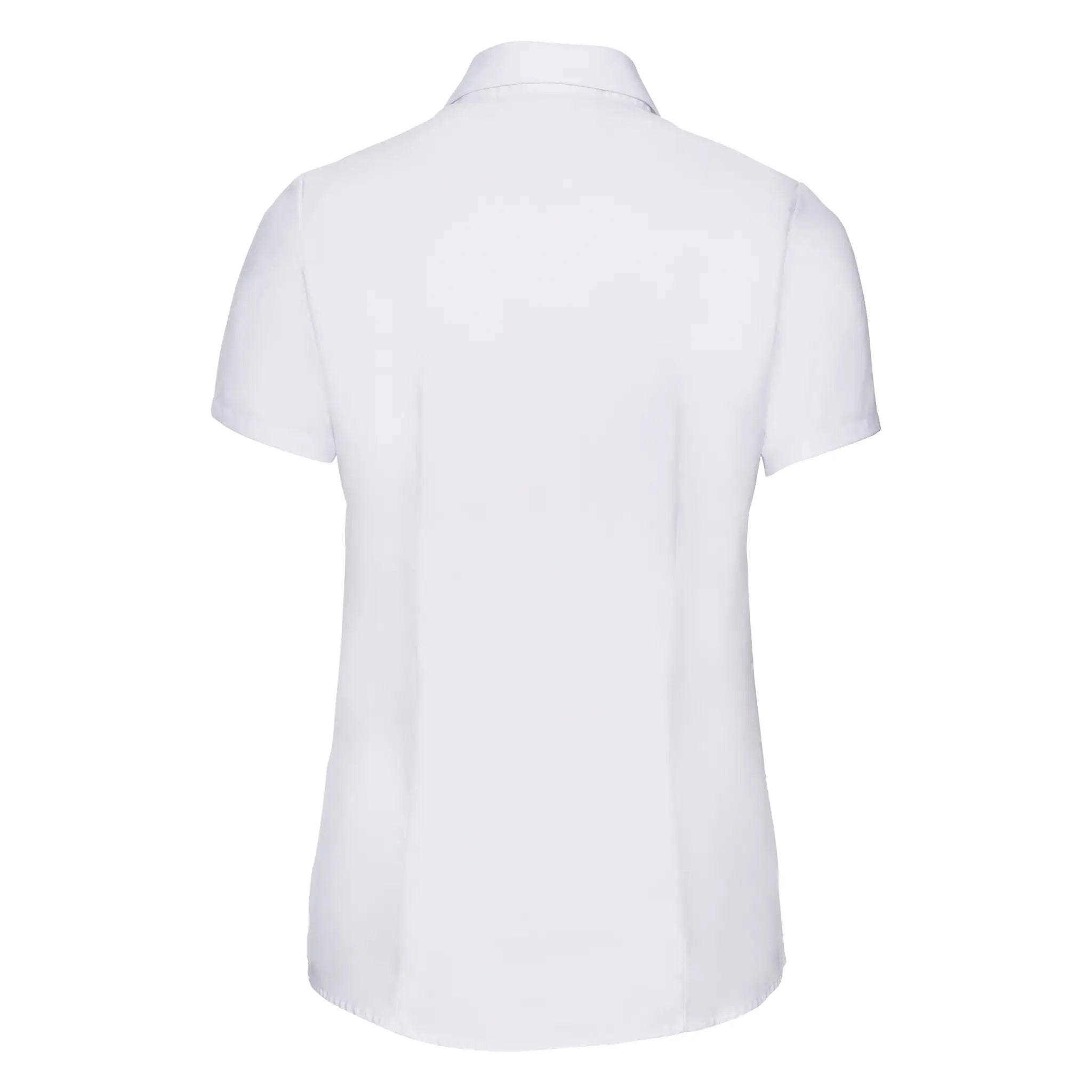 all-groups Women's Short Sleeve Tailored Herringbone Shirt