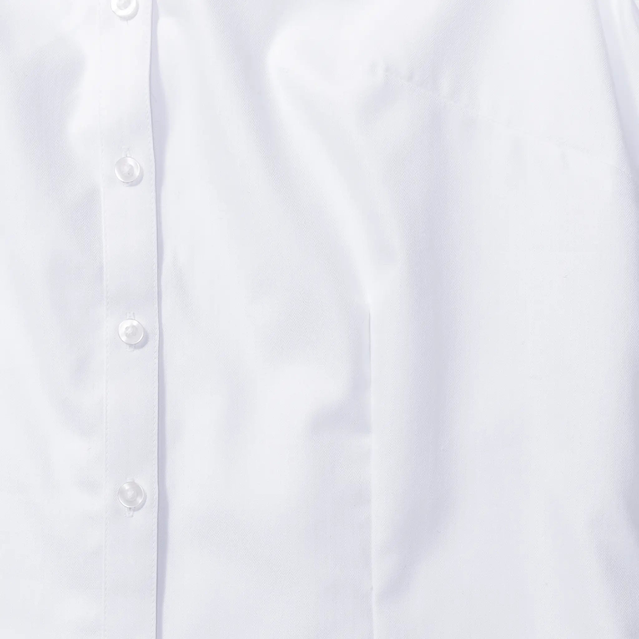 all-groups Women's Short Sleeve Tailored Herringbone Shirt